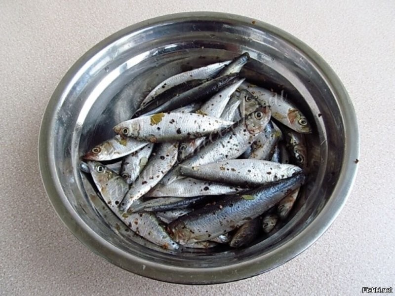 Натюрморт из СССР