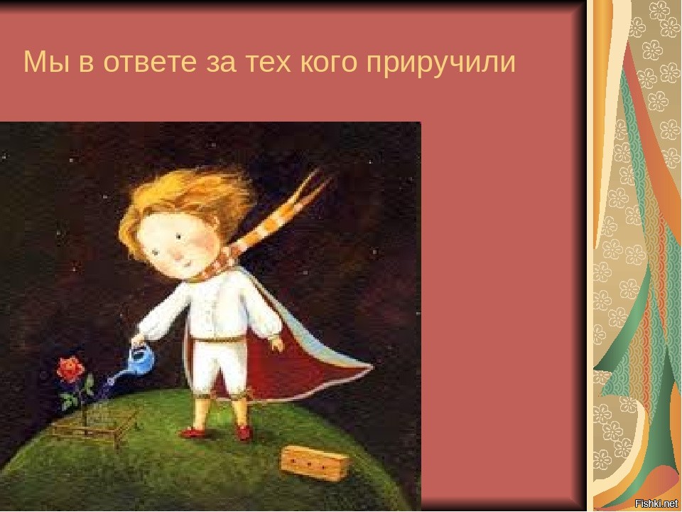 Мы в ответе за тех кого. Мы в ответе за тех кого приручили. Мы в ответе за тех когоиручили. Мы в ответе за тех кого приуч. Мы в отетп за тех кого приучиои.