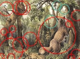 Головоломке 150 лет, но ее до сих пор не все могут разгадать