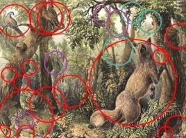 Головоломке 150 лет, но ее до сих пор не все могут разгадать