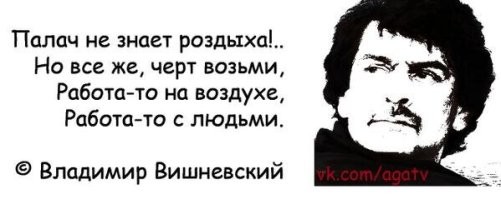 Какие рекорды поставили французские палачи и как им в этом помогла гильотина