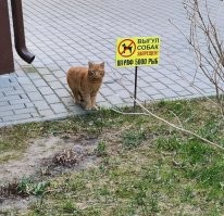 Фотоподборка