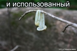 20 сравнений, которые доказывают, что всё в мире относительно