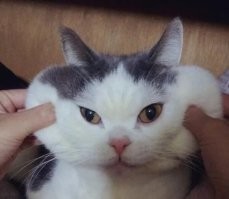 Не ищите здесь смысл. Здесь в основном маразм