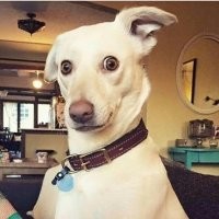 Для подъёма настроения