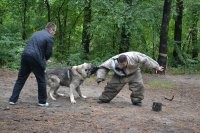Осталось от одного из Запашных )))