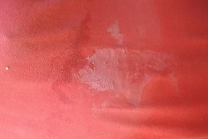 Когда поход за грибами начинает напоминать сцену из ужастика