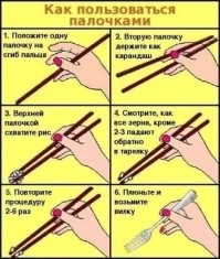 Смешные и познавательные картинки
