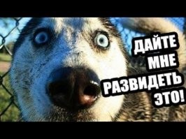 15 нелепых дизайнерских решений, от которых глаза лезут на лоб