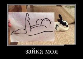 Калейдоскоп позитива. Выпуск 109