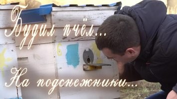 Калейдоскоп позитива. Выпуск 109