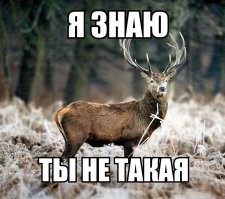 Калейдоскоп позитива. Выпуск 109