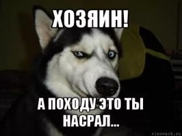 Калейдоскоп позитива. Выпуск 109