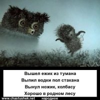 Калейдоскоп позитива. Выпуск 109
