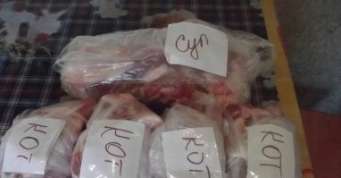 Калейдоскоп позитива. Выпуск 109