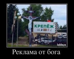 Калейдоскоп позитива. Выпуск 109