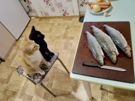У меня попроще: