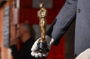 Кот притворился раненым, чтобы попасть в помещение