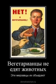 Калейдоскоп позитива. Выпуск 109