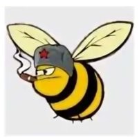 Калейдоскоп позитива. Выпуск 109