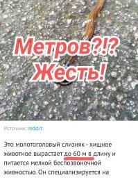 15 человек, которые не смогли разгадать, что это за вещи