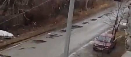 Ну так заставить заплатить его за ремонт дороги (а асфальт ой как стоит) и его скотство надолго, если не навсегда, дисциплинируется!