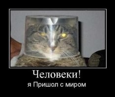 Мне вот такая больше всех нравится
