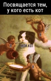 Способы использования котов в хозяйстве