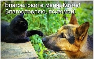 Калейдоскоп позитива. Выпуск 109