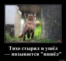 Украсть мост за 3 дня: дерзкая афера от индийских мошенников