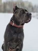 О. Каники. У меня тоже есть такая прелесть :)