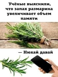 Умно и смешно: убойные высказывания пользователей соцсетей обо всем на свете