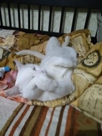 И покажет как надо отдыхать))