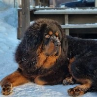4 месяца и годик)))