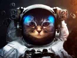 Смешные и познавательные картинки