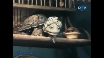 А где встречка, встречка-то где ?