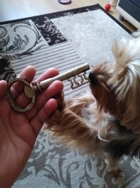 Не, у нас не прокатит!