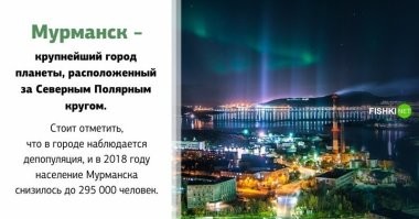 Вот как замысловато написано - "Крупнейший" - вам не говорят самый северный, просто крупнейший.

Самым северным городом России с численностью населения более 150 тысяч человек является Норильск.