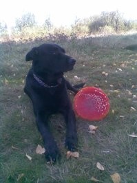 15 фотографий необычных грибов, которые смогут вас удивить