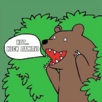 Под домом женщины поселилось пять медведей и храпели всю зиму