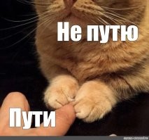 Непоседливый пандарёнок пристает к сотруднику зооцентра