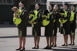 надеюсь, они их не на дегустацию несут.
