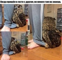 Когда ты не социфоб, а просто не любишь общаться