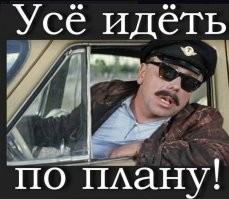 Мы всё же не знаем многого о весне... и котах