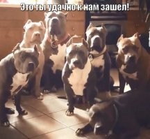 Наташ, мы всё уронили