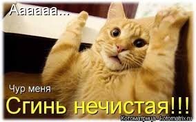Калейдоскоп позитива. Выпуск 112
