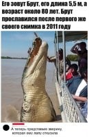 Смешные и познавательные картинки