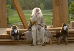 Вот и пятница на подходе...Демотиваторы