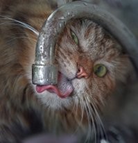 После Светлого воскресенья, Хмурое утро...