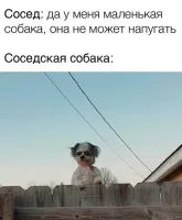 "Что ты такой грустный?".."А знаешь откуда эти шрамы?"©